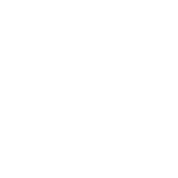 Molten Ice Cream icon