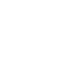 Solution icon