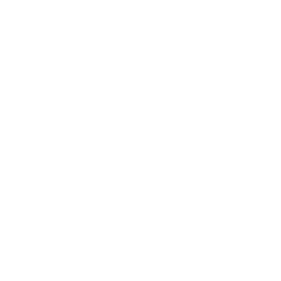 Blooming Gaze icon