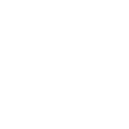 Flourish icon