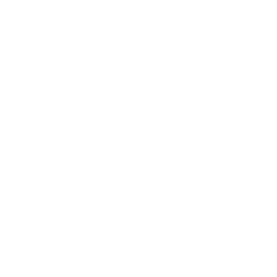 灼见 icon
