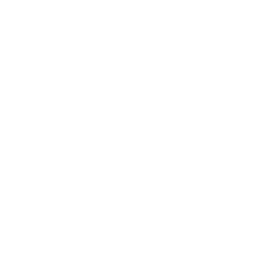 Strategy: Tit for Tat icon
