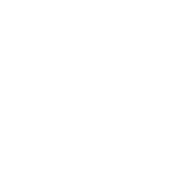 Trait: Transparent icon