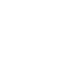 Basic Attack: Special Combat Arts icon