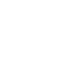 High-Speed Breach icon